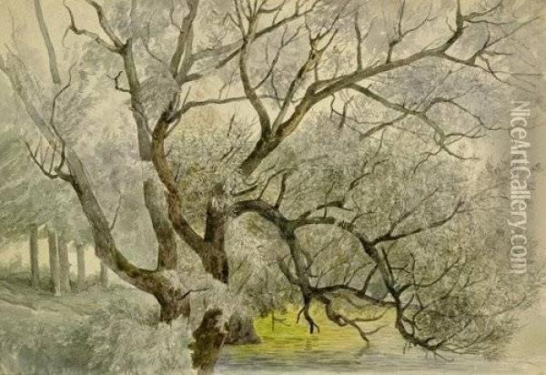 Im Park Von Schlos Wil Oil Painting - Edmund Friedrich Kanoldt