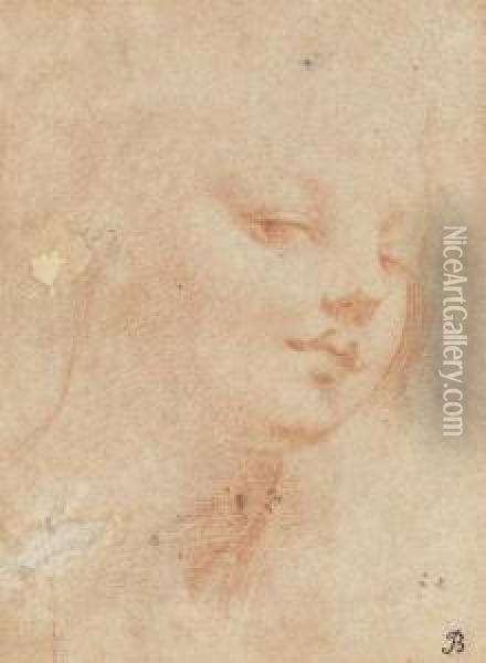 The Head Of A Young Woman Oil Painting - Michele Da Parma (see Rocca)
