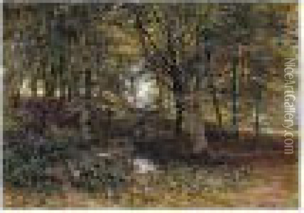 Woodland Oil Painting - Edmund George Warren