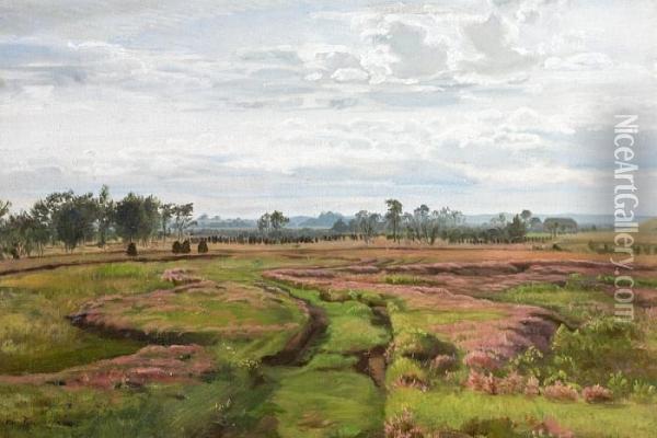 An Open Landscape With Flowering Heather Oil Painting - Christian Zacho