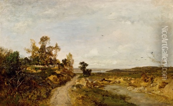 Herbstlandschaft An Der Unteren Donau Bei Haslau Oil Painting - Emil Jacob Schindler