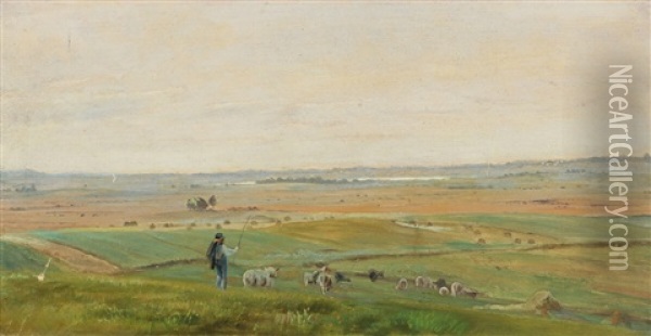 Open Landscape With A Boy Guarding His Sheep Oil Painting - Jorgen Valentin Sonne