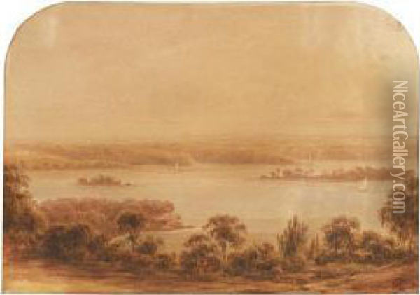 A View Of Sydney Harbour Oil Painting - Conrad Martens