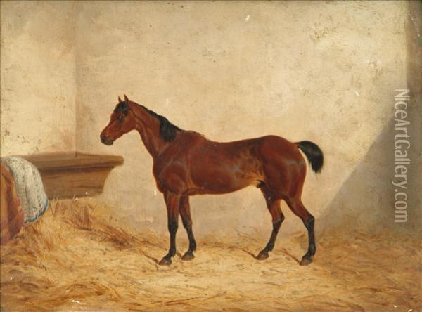 Snr A Bay Hunter In A Stable Interior Oil Painting - John Frederick Herring Snr