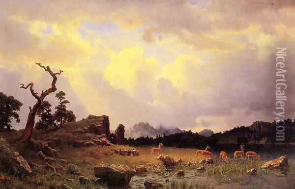 Thunderstorm In The Rocky Mountains Oil Painting - Albert Bierstadt