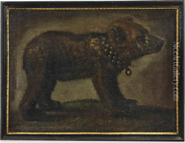 A Bear Cub With A Collar Oil Painting - Michele Pace Del (Michelangelo di) Campidoglio