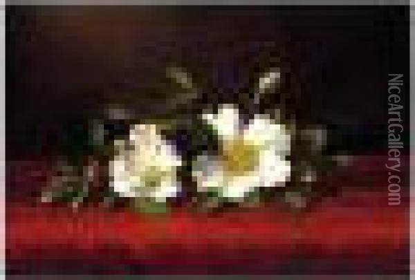 Two Cherokee Roses On Red Velvet Oil Painting - Martin Johnson Heade