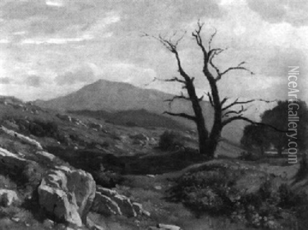Hugelige Landschaft Mit Altem Baum Zwischen Felsbrocken Oil Painting - Barthelemy Menn