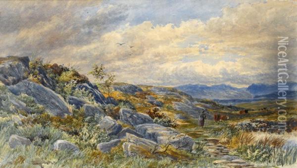 In The Mawddach Valley North Wales Oil Painting - Thomas Collier