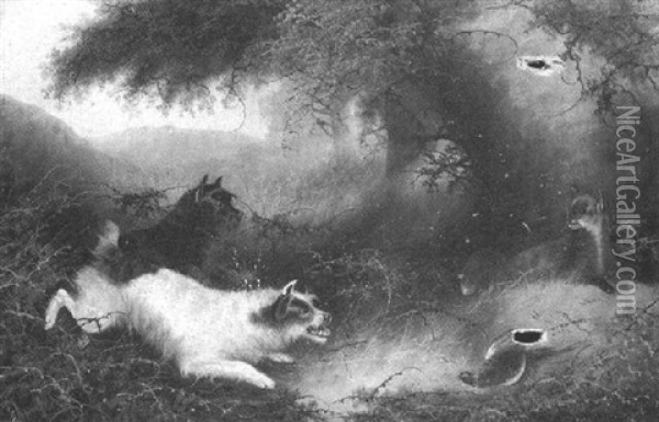 Terriers Cornering A Fox Oil Painting - Edward Armfield