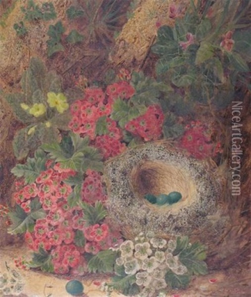 Still Lifes Of Fruit (+ Birds Nest On Mossy Ground; Pair Oil Painting - Oliver Clare