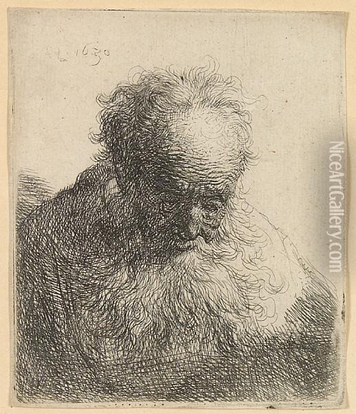 Bust Of An Old Man With A Flowing Beard: Head Bent Forward Oil Painting - Rembrandt Van Rijn