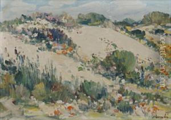 Sand Hills Near Darling Oil Painting - Hugo Pieter Naude