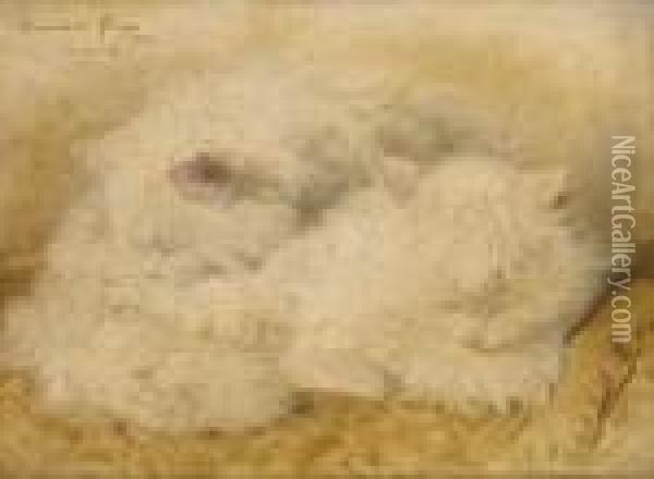 Deux Chatons Blanc Endormis Oil Painting - Henriette Ronner-Knip