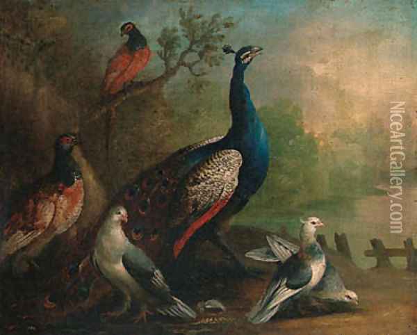 A Peacock, Doves and Pheasants by a Lake Oil Painting - Marmaduke Cradock
