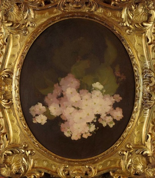 Pink Geranium Oil Painting - Stuart James Park