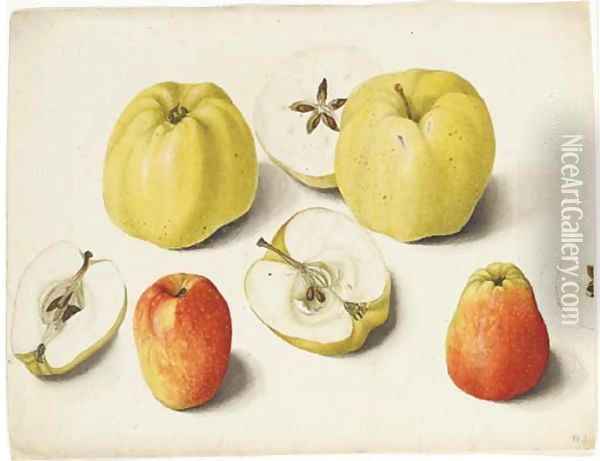 Four apples and four halves of apples Oil Painting - German School