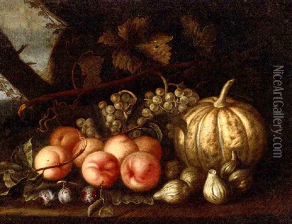 Grapes, Peaches, Figs, Plums And A Melon On A Forest Floor Oil Painting - Abraham Brueghel