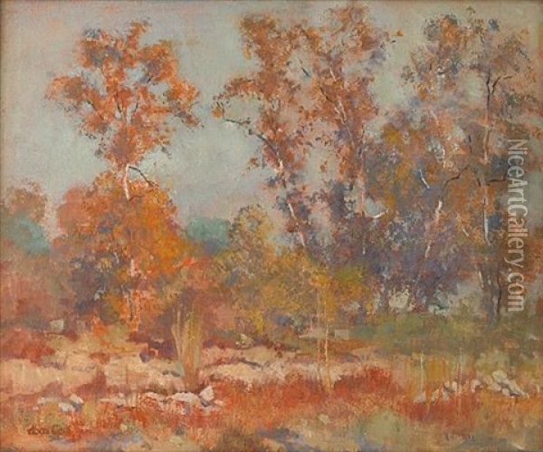 In The Bed Of The Arroyo, Pasadena Oil Painting - Alson Skinner Clark
