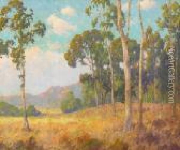 Eucalyptus Grove With Distant Sunlit Hills Oil Painting - Maurice Braun