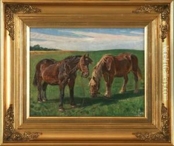 Horses At The Field Oil Painting - Rasmus Christiansen