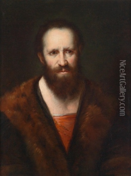 Portrait Of A Bearded Man (an Apostle?) Oil Painting - Johann Ulrich Mayr