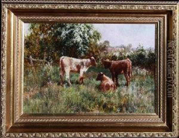Three Calves In A Meadow. Oil Painting - John Falconar Slater