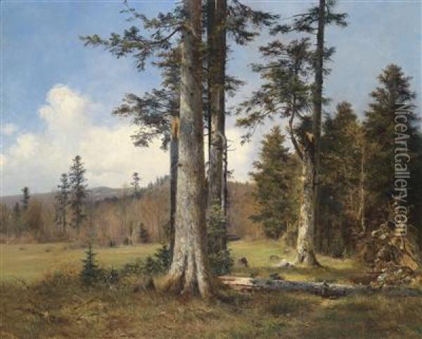 View Of A Forest Clearing Oil Painting - Anton Dieffenbach