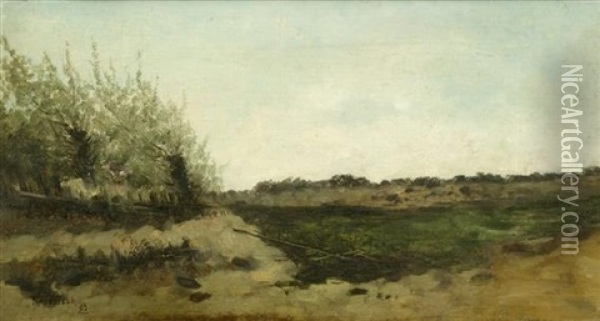 Dunenlandschaft Oil Painting - Theophile De Bock
