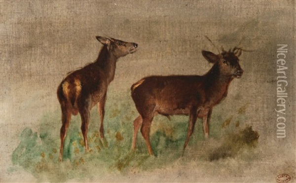 Rehbock Und Ricke Auf Einem Wiesenstuck Oil Painting - Francois Auguste Ortmans