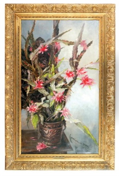 Kwitnace Kaktusy Oil Painting - Hermione von Preuschen