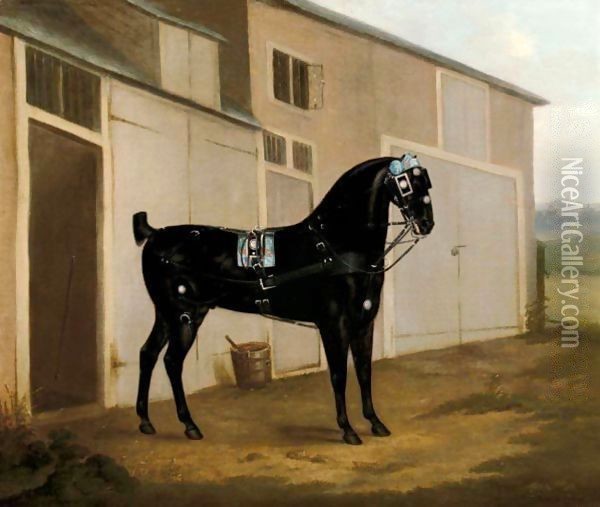 A Black Carriage Horse Outside A Stable Oil Painting - John Nost Sartorius