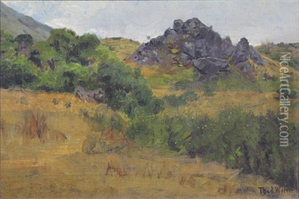 California Hills Oil Painting - Thaddeus Welch