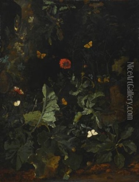 A Forest Floor Still Life With Flowering Plants And Butterflies Oil Painting - Nicolaes de Vree