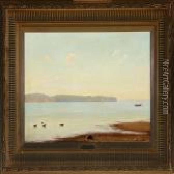 Inlet With Sailingboat And Ducks Oil Painting - Johannes Herman Brandt
