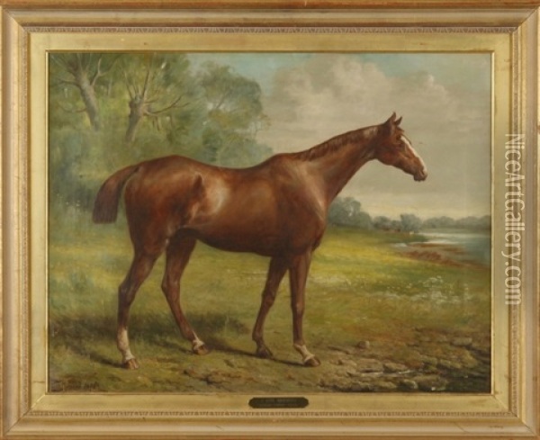 Tom Boy, Equestrian Portrait Oil Painting - John Fitz Marshall