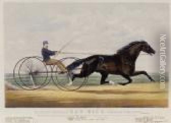 Trotting Stallion Dan Rice Oil Painting - Currier & Ives Publishers