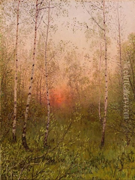 Sonnenaufgang Uber Birkenwaldchen An Einem Prachtvollen Fruhlingstag Oil Painting - Nikolai Nikanorovich Dubovskoy