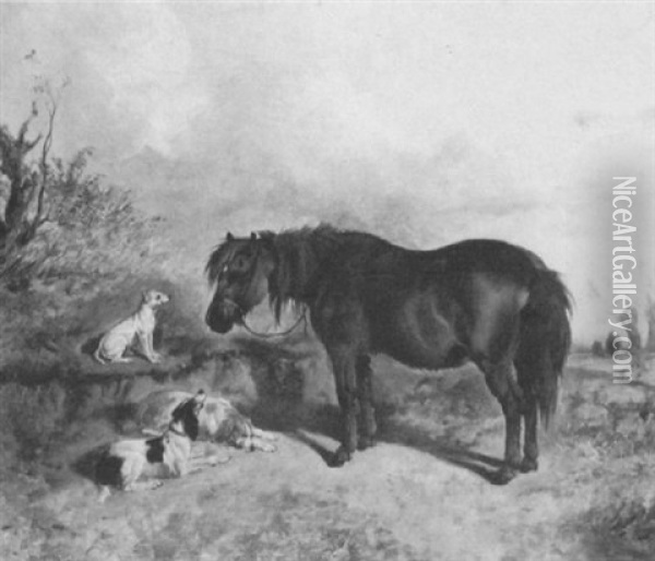Pony And Spaniels In A Landscape Oil Painting - James Thomas Wheeler
