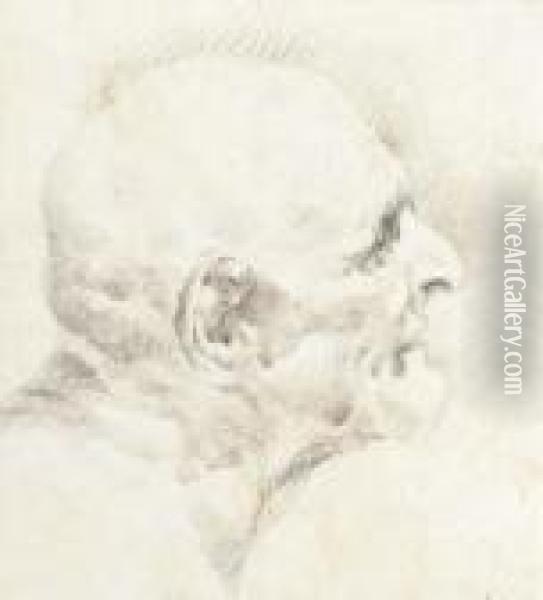 Un Vieillard, En Buste, De Profil A Droite Oil Painting - Giovanni Battista Tiepolo