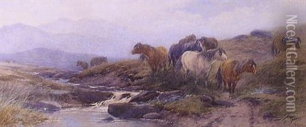 Dartmoor Ponies Besidea Stream Oil Painting - Thomas, Tom Rowden