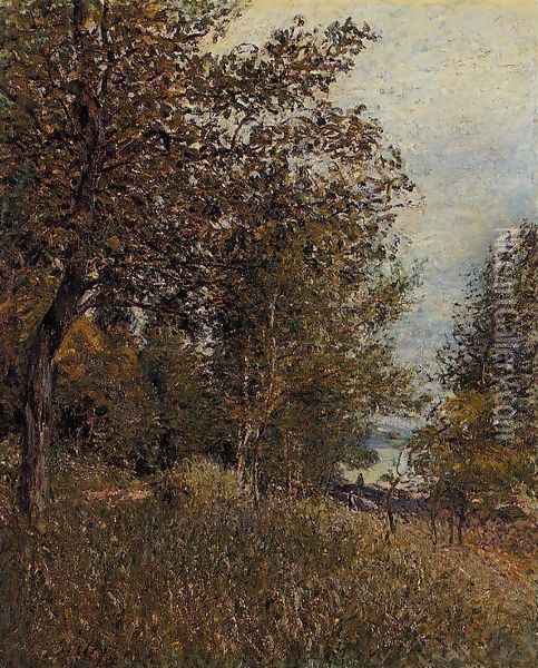 A Corner of the Roches-Courtaut Woods, June Oil Painting - Alfred Sisley