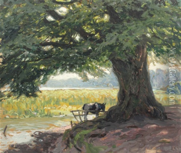 Buche Am Klostersee Oil Painting - Hans Licht