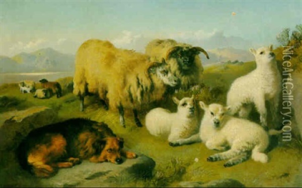 Sheep In The Highlands Oil Painting - George William Horlor