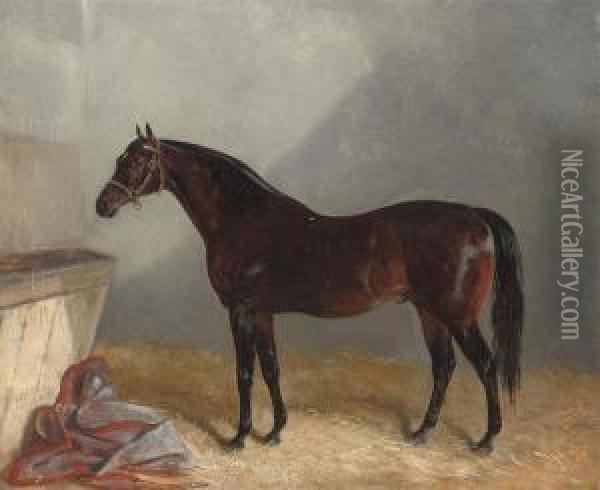'surplice' In Stable Oil Painting - J. Duvall