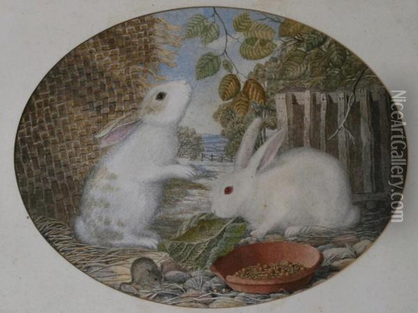 Two White Rabbits And Mouse Oil Painting - M D Brown