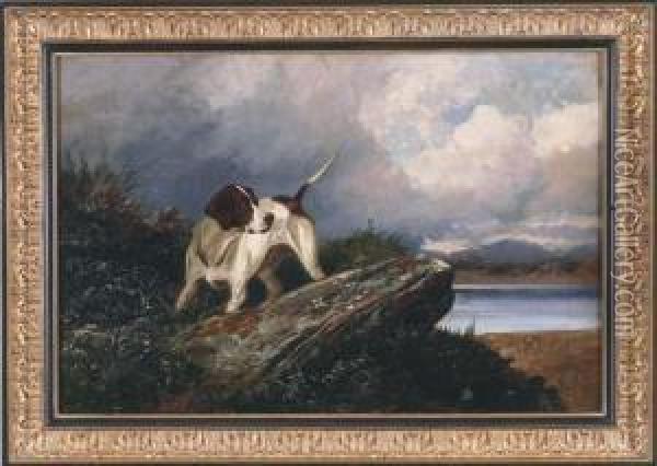 A Pointer In A Landscape Oil Painting - Colin Graeme Roe