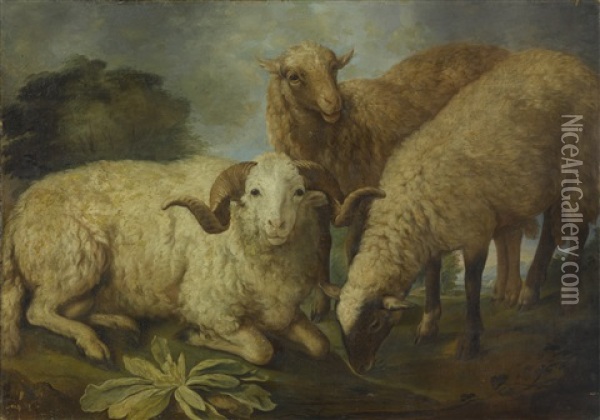 A Ram And Two Sheep Resting In A Landscape Oil Painting - Jacob Gerritsz Cuyp