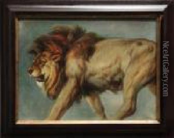 Study Of A Lion Oil Painting - Landseer, Sir Edwin