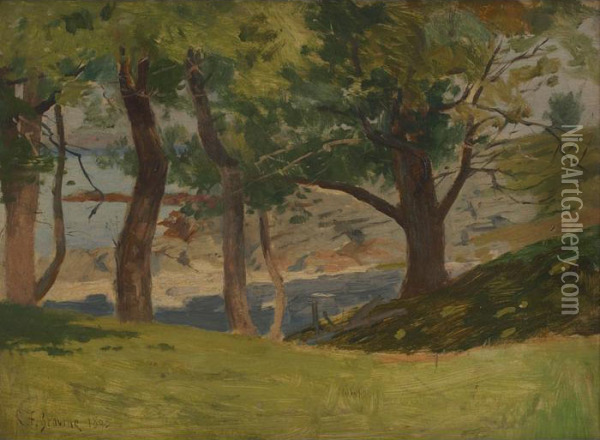 Under The Trees At Cushingis Island Oil Painting - Charles Francis Browne